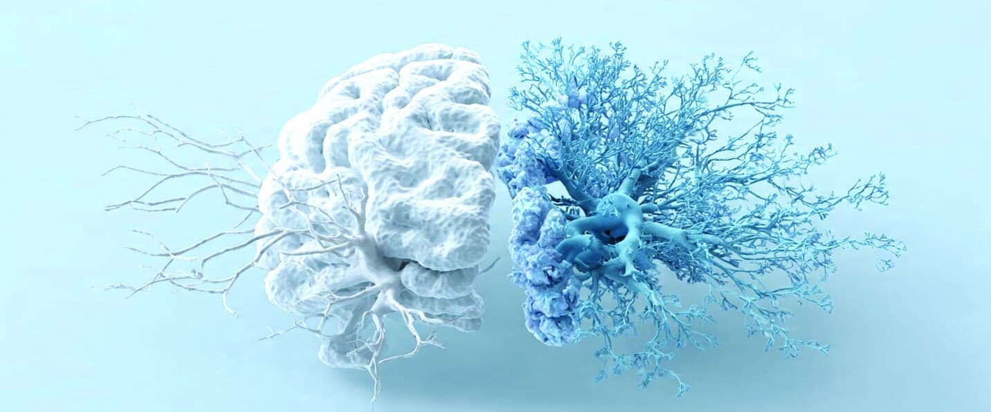 Alzheimer's Disease — A New Dawn of Hope